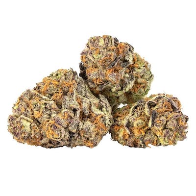 NESS - Black Cherry Punch 3.5 g Dried Flower