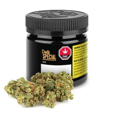 Daily Special - Daily Special Sativa 28 g Dried Flower