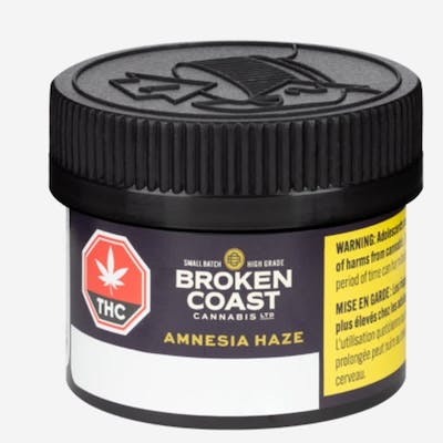 Broken Coast - Amnesia Haze 3.5g Dried Flower