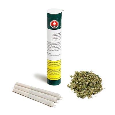 Pure Sunfarms - White Rhino 3 x 0.5g Pre-Rolls