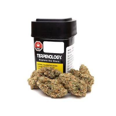 Terpenology - Explore The Stars - 28g Flower - Terpenology - Explore The Stars - 28g Flower