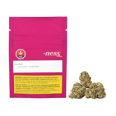 Ness - Citrus Rush - 3.5g Flower - Ness - Citrus Rush - 3.5g Flower