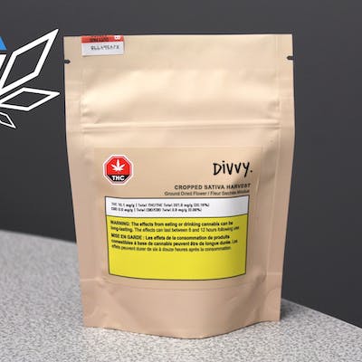 Divvy SATIVA Cropped Harvest 10g