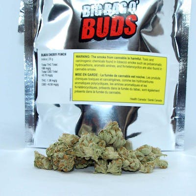 Big Bag O' Buds | Black Cherry Punch | 28g