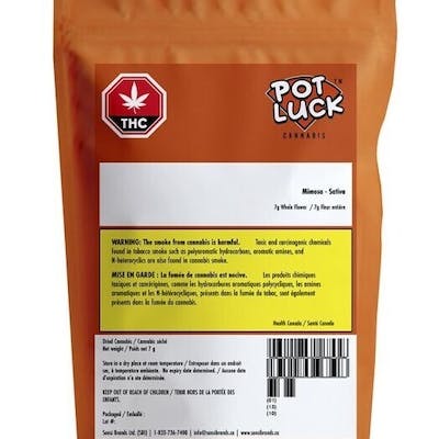 Potluck | Orange Layer Cake | 7g