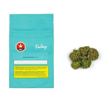 Poolboy | Super Lemon Haze | 7g