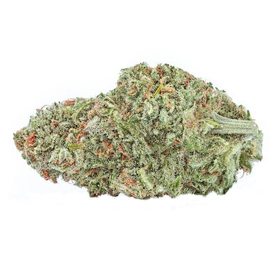 The Green Organic Dutchman - Organic Sugar Bush Sativa - 3.5g