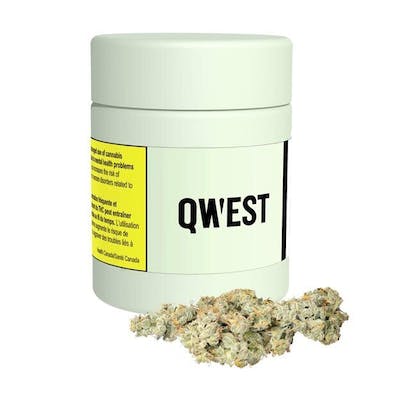 Qwest - Redneck Wedding - 3.5g Flower - Qwest - Redneck Wedding - 3.5g Flower