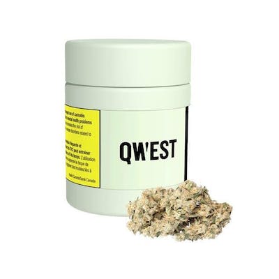 Qwest - Banana OG - 3.5g Flower - Qwest - Banana OG - 3.5g Flower