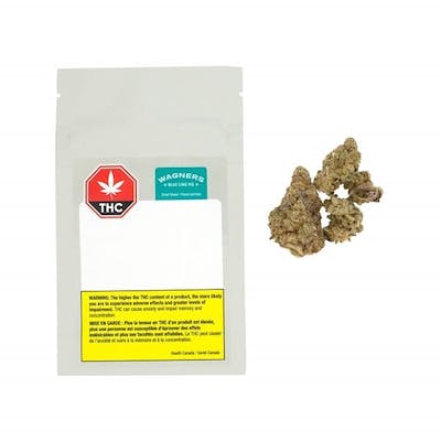 Wagners - Blue Lime Pie - 3.5g Flower - Wagners - Blue Lime Pie - 3.5g Flower