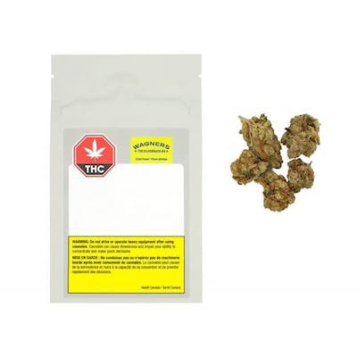 Wagners - Silverback #4 - 3.5g Flower - Wagners - Silverback #4 - 3.5g Flower