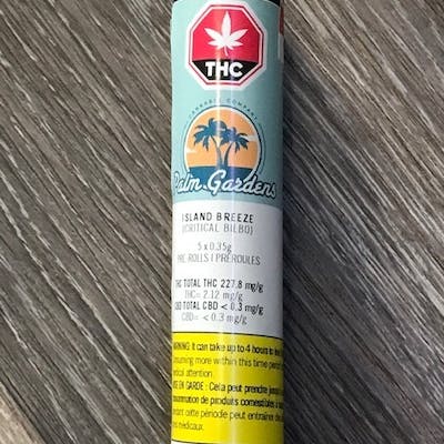 Island Breeze (Critical Bilbo) 5 x .35g Pre-rolls