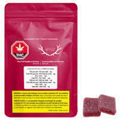 Wyld | Real Fruit Raspberry Soft Chews | 10mg THC