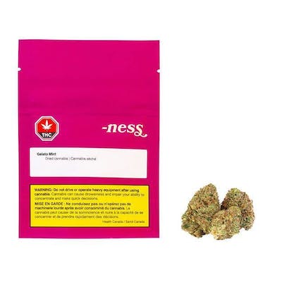 Ness - Gelato Mint 3.5g Dried Flower - Gelato Mint 3.5g Dried Flower