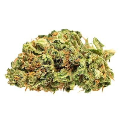 Good Supply - Jean Guy 28 g Dried Flower