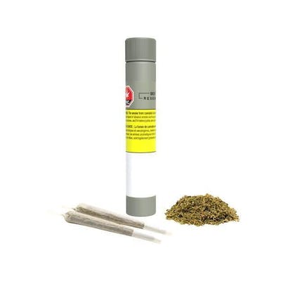 Qwest - Sunset MAC - 2 x 0.5g Pre Rolls - Qwest - Sunset MAC - 2 x 0.5g Pre Rolls