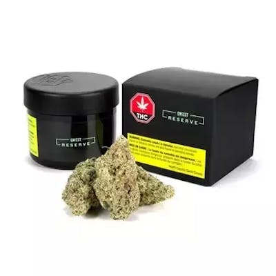 Qwest - Icicle - 14g Flower - Qwest - Icicle - 14g Flower