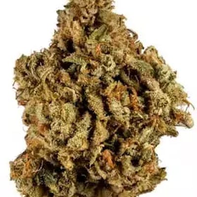 Because You Cann - Blue Glue Kush - 3.5g Flower - Because You Cann - Blue Glue Kush - 3.5g Flower