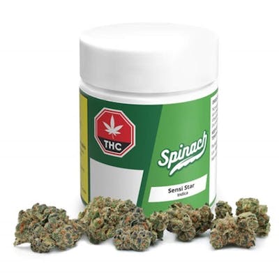 Sensi Star - Spinach - Sensi Star 7 g Dried Flower