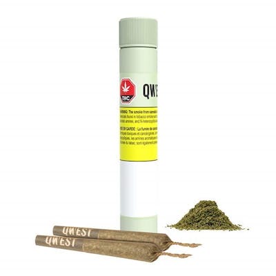 Qwest - Papaya Cake - 2 x 0.5g Pre Rolls - Qwest - Papaya Cake - 2 x 0.5g Pre Rolls