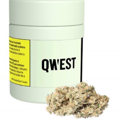 Qwest - Banana OG 3.5g