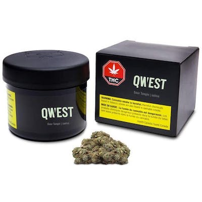 Qwest - Sour Tangie 3.5g Dried Flower - Sour Tangie 3.5g Dried Flower