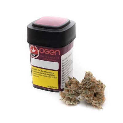 Ogen - Bacio Punch #8 - 28g Flower - Ogen - Bacio Punch #8 - 28g Flower