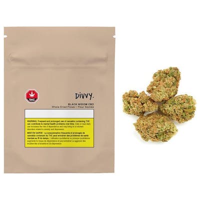 Divvy - Black Widow CBD 3.5g - Black Widow CBD 3.5g Dried Flower