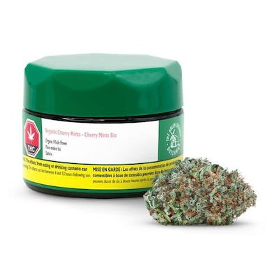 The Green Organic Dutchman - Cherry Mints - 3.5g Flower - Organic Cherry Mints 3.5g