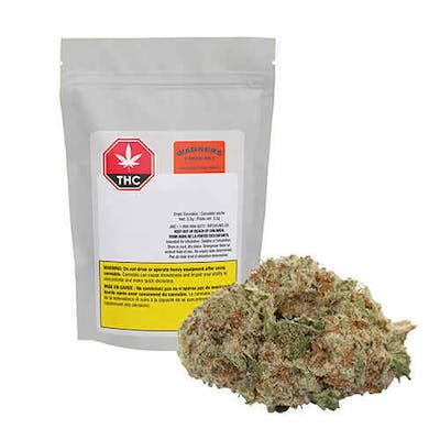 Wagners - Tiki Rain - 3.5g Flower - Wagners - Tiki Rain - 3.5g Flower