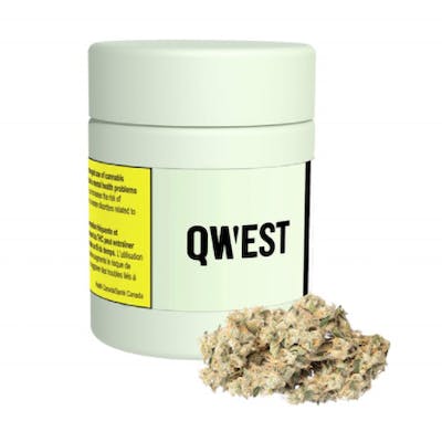 Qwest - Papaya Cake 3.5g