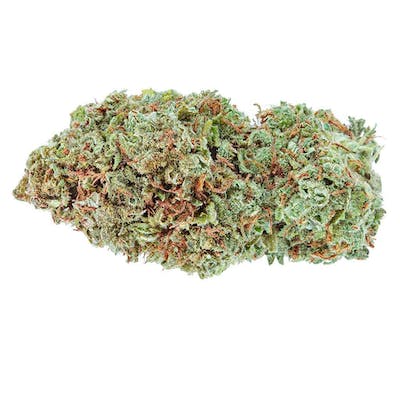 Highly Dutch - Amsterdam Sativa - 28g - Amsterdam Sativa 28g Dried Flower