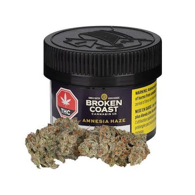 Broken Coast - Kush Mints 3.5g - Kush Mints 3.5g Dried Flower