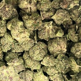 Explore the Do-Si-Dos hybrid strain, known for its potent effects, unique flavor profile, and potential therapeutic benefits. Learn about its cultivation, effects, and where to find it.